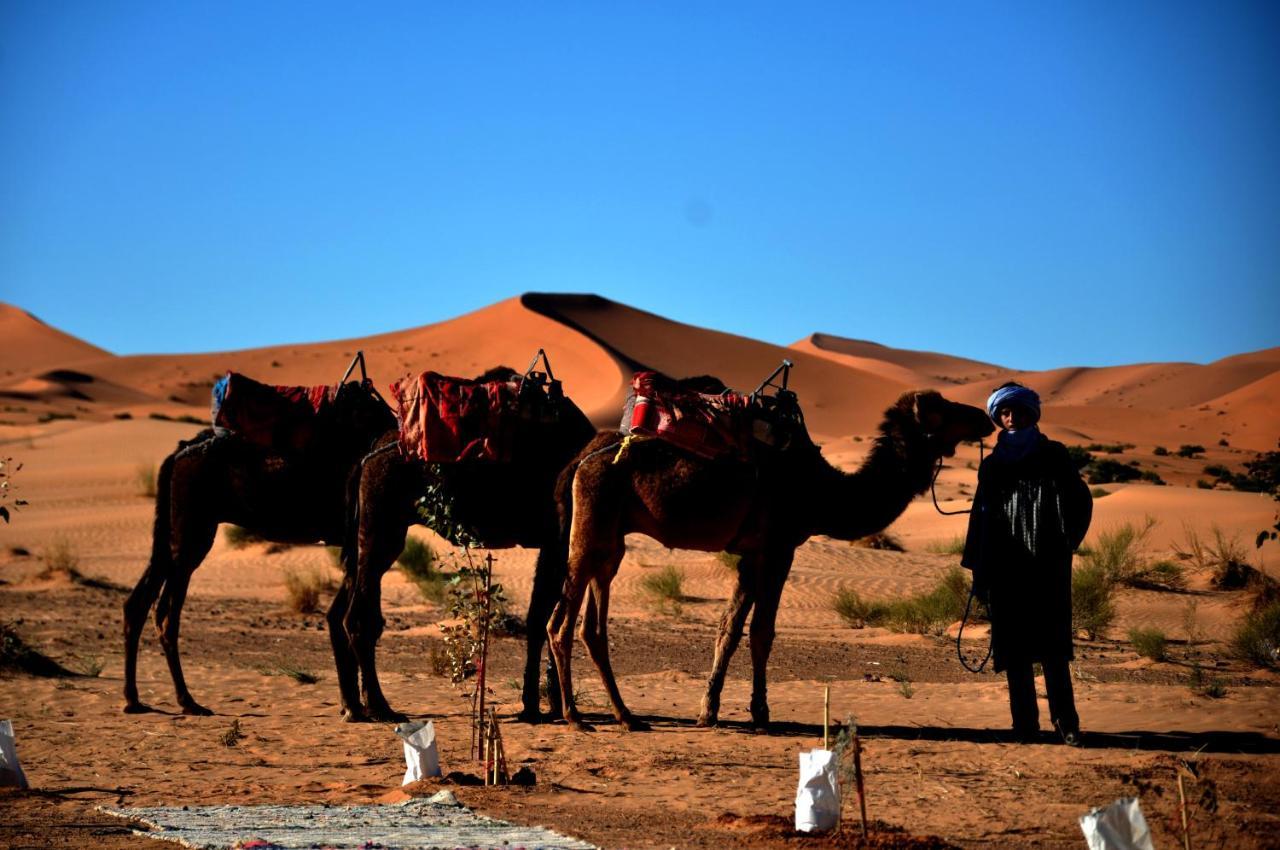 Tuareg Luxury Camp 호텔 메르주가 외부 사진