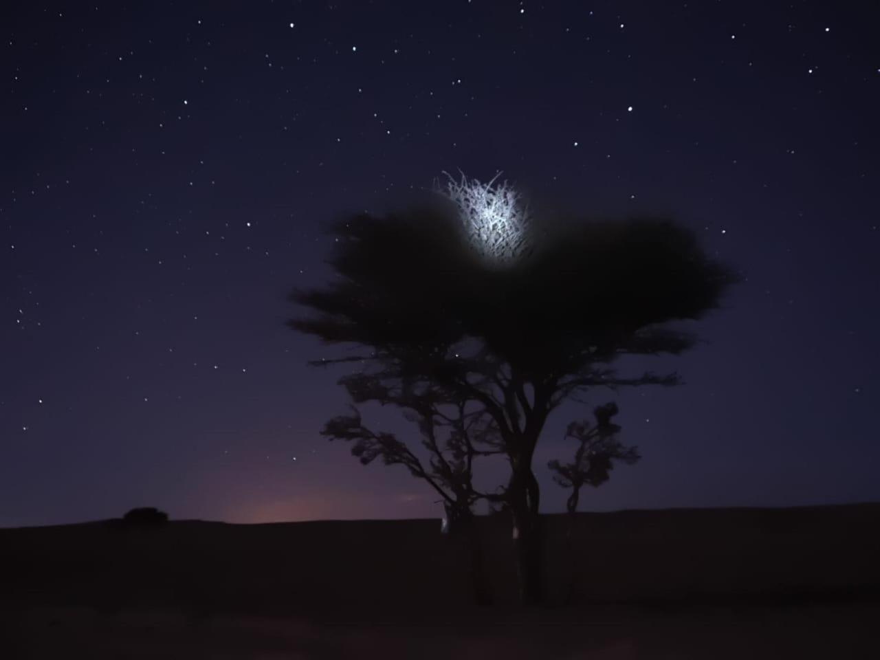 Tuareg Luxury Camp 호텔 메르주가 외부 사진