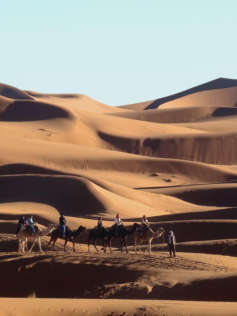 Tuareg Luxury Camp 호텔 메르주가 외부 사진
